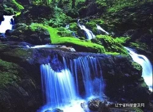 跑步的时候该怎么喝水？